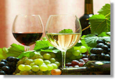 Wine & Drinks Selection